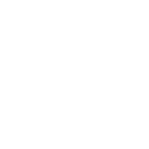 logo bianco