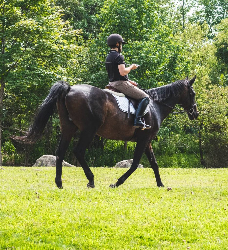Persona a cavallo
